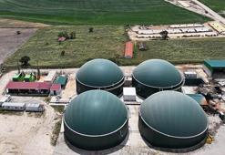 İpsala'da köylüler dev tesisin hem etinden hem sütünden faydalanıyor! 5 bin haneye elektrik veriyor, atıklarını ise gübreye dönüştürüyor