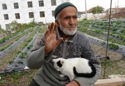 85 yaşındaki İbrahim dede kurdu! Yetiştirdiklerini ücretsiz ikram ediyor