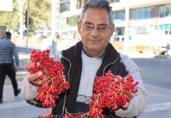 Erzincanlının 'gençlik iksiri' pazardaki yerini aldı! Kapış kapış gidiyor
