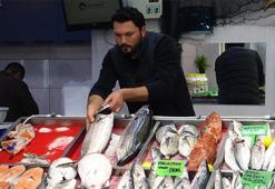 Hamsi denizlerde yüzünü gösterdi! Balık fiyatları düşecek mi?