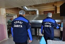 Tokat'ta harekete geçildi! Tek tek tespit edilip imha edildi