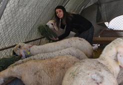 Malatyalı kadın girişimci üniversiteden mezun oldu, devlet desteğiyle köyünde iş kurdu! 3 yılda 6 katı kazanç sağladı