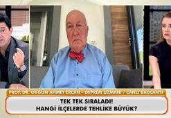 Ünlü deprem uzmanı açıkladı: 'Sakın oturmayın' dediği ilçeler neresi?