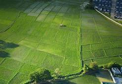 Eskişehir'de arsa ve tarla alacaklar dikkat! Son 1 yılın fiyatları belli oldu