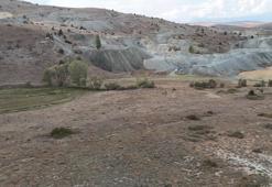 Sivas'ı zengin edecek keşif! Tonlarca altın ve NTE müjdesi, Kangal'dan çıktı