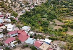 Diyarbakır'da köylüler tesadüfen keşfetti! 'Ya tutarsa' diye ektiler, hepsi topraktan çıktı