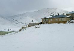 Van Başkale’de kar yağışı etkili oldu