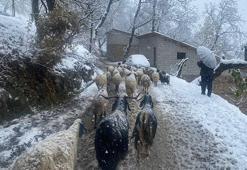 Van'da Karabet Geçidi'nde kar yağışı etkili oldu! Kar kalınlığı 15 santimetreye kadar ulaştı