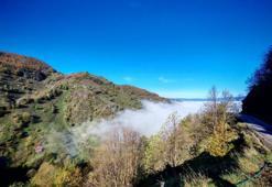 Düzce Pazar gününe sisle uyandı! Görüş mesafesi düştü