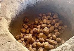 Patnos'ta asırlık taktik: Toprağa gömüyorlar, kış boyunca bozulmuyor