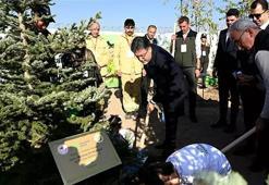 Milli Ağaçlandırma Günü’nde “yeşil” rekor! Bakan Yumakllı: 14 milyon 914 bin fidan toprakla buluştu