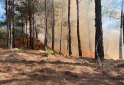 Muğla'da orman yangını! Ekipler müdahale ediyor