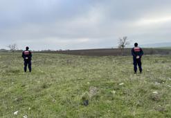 Mantar toplamaya çıktılar, hayatlarının sokunu yaşadılar