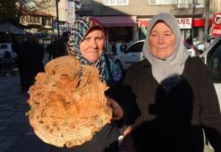 Odun parçasına benziyor ama bambaşka bir şey! Yağmurlar arttı, fiyatlar düştü