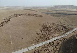 Van'da sonbahar bir başka! Kartpostallık görüntüler oluştu