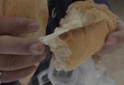 Eskişehir'de ekmeğin içinden öyle bir şey çıktı ki... Yetkililer harekete geçti