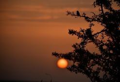 Samsun'da Kuş Cenneti'ne sonbahar geldi! Gören büyüleniyor