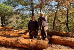 35 yıldır ormanlarda damgalanan ağaçları kesiyorlar! Karı-kocanın zorlu emekleri