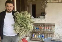Dağlarda kendiliğinden yetişiyor! Dedesinden öğrendiği tarifle özel hazırlıyor! Talep patladı, siparişe göre üretiyor