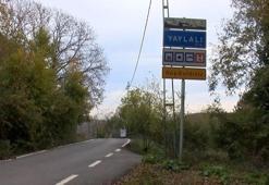 Şile’de şap alarmı! 21 mahalle karantinaya alındı