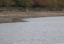 Sakarya'da esrarengiz olay! Balık sandı, gerçeği açıklayamadı: İlk defa gördüm