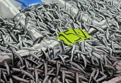 Zonguldak'ta hamsi azaldı, kilo fiyatları yeniden yükselişte