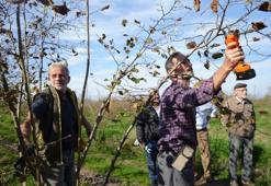 Samsun'da fındık eğitimi: Fındıkta çok dal, çok fındık anlamına gelmiyor