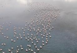 İranlı turistlerden sonra onlar da Van'a akın etti