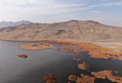 Van'ın binlerce yıllık gölü kurudu! Dünyanın en eskilerinden biriydi