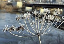 19 Kasım Malatya ve ilçelerinde hava durumu: Bugün yağış var mı?