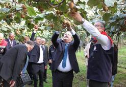 Samsun'da hasat rekorla tamamlandı! Fiyatlar yüzde yüz arttı! Talebe yetişemiyorlar