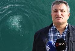 Sakarya Sapanca Gölü'nde endişelendiren görüntüler! Deprem habercisi mi? Uzman isim açıkladı