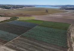 Adana'da kuraklık vurmuştu! Boş araziler şimdi tarım arazisi oldu üretim başladı