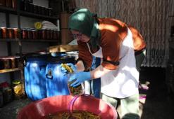 Kış mevsiminin vazgeçilmezi! Turşu tezgahları süslemeye başladı