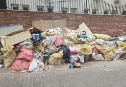 İzmir'de sinek alarmı: Hava sıcaklığı ve çöp sorunu karasinek popülasyonu patladı: Enfeksiyon riski kapıda!