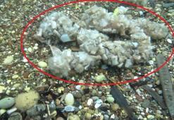 Antalya'da deniz pamuk tarlasına dönüştü!