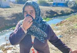 Adanalıyı isyan ettiren görüntü: Mahalleli defalarca başvurdu, çözüm yok! 'Sinek, fare, yılan ne ararsanız burada'