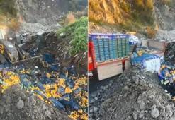 Sarp Sınır Kapısı’nda 6 ton mandalina imha edildi! Zirai ilaç kalıntısı tespit edildi