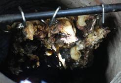 Muşlu usta 15 yıldır geleneksel yöntemlerle hazırlıyor! Bitlis ve Siirt'e rakip oldu