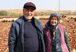 Gaziantep'te karı koca 63 yaşından sonra başladı! 1 günde 2 katına çıkardılar