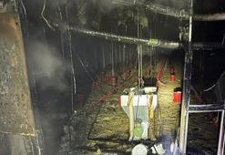 Balıkesir’de çiftlikte korkunç facia: 5 bin tanesi can verdi