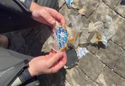 Diyarbakır'da temizlik yaparken buldular! Ekipler inanamadı, yüzlerce kilo çıktı