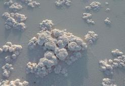 Konya'nın 'Pamukkale'si ziyaretçi akınına uğruyor! Sular çekildi eşsiz görüntüler ortaya çıktı