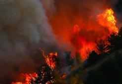 İran şiddetlenen orman yangınları uluslararası yardım çağrısında bulundu