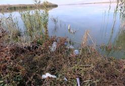 Eber Gölü bu kez de kirliliğe teslim oldu!