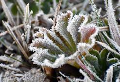 22 Kasım Malatya hava durumu: Bugün yağış var mı?