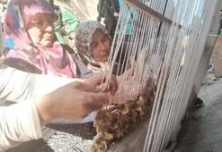 Anadolu'nun saklı hazinesi bin yıl sonra Denizli'de ortaya çıktı! Mısır kabuğundan yapılıyor, dünyada eşi benzeri yok