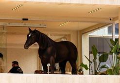 Bu 'kahve' çok konuşulur!