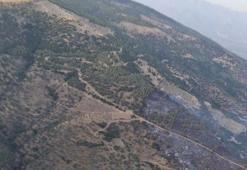 Aydın Bozdoğan'daki orman yangını kontrol altına alındı