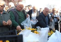 Kilosu 2 TL'ye düştü, üreticiler tonlarca ürünü bedava dağıttı!